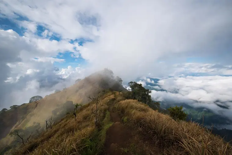 Kew Mae Pan Nature Trail ridge path above the clouds on Doi Inthanon