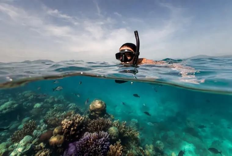 Snorkeler above coral reef with clear water near Koh Lipe