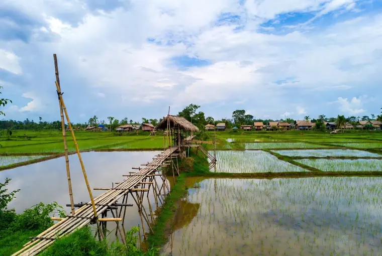 Su Tong Pae bamboo bridge crossing rice fields near Mae Hong Son