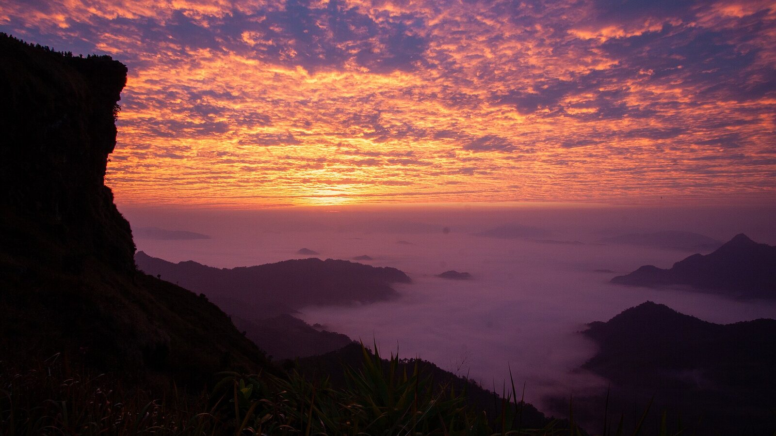Sunrise over a sea of white mist filling the valleys below the cliffs of Phu Chi Fa in Chiang Rai, the classic cool-season view in northern Thailand