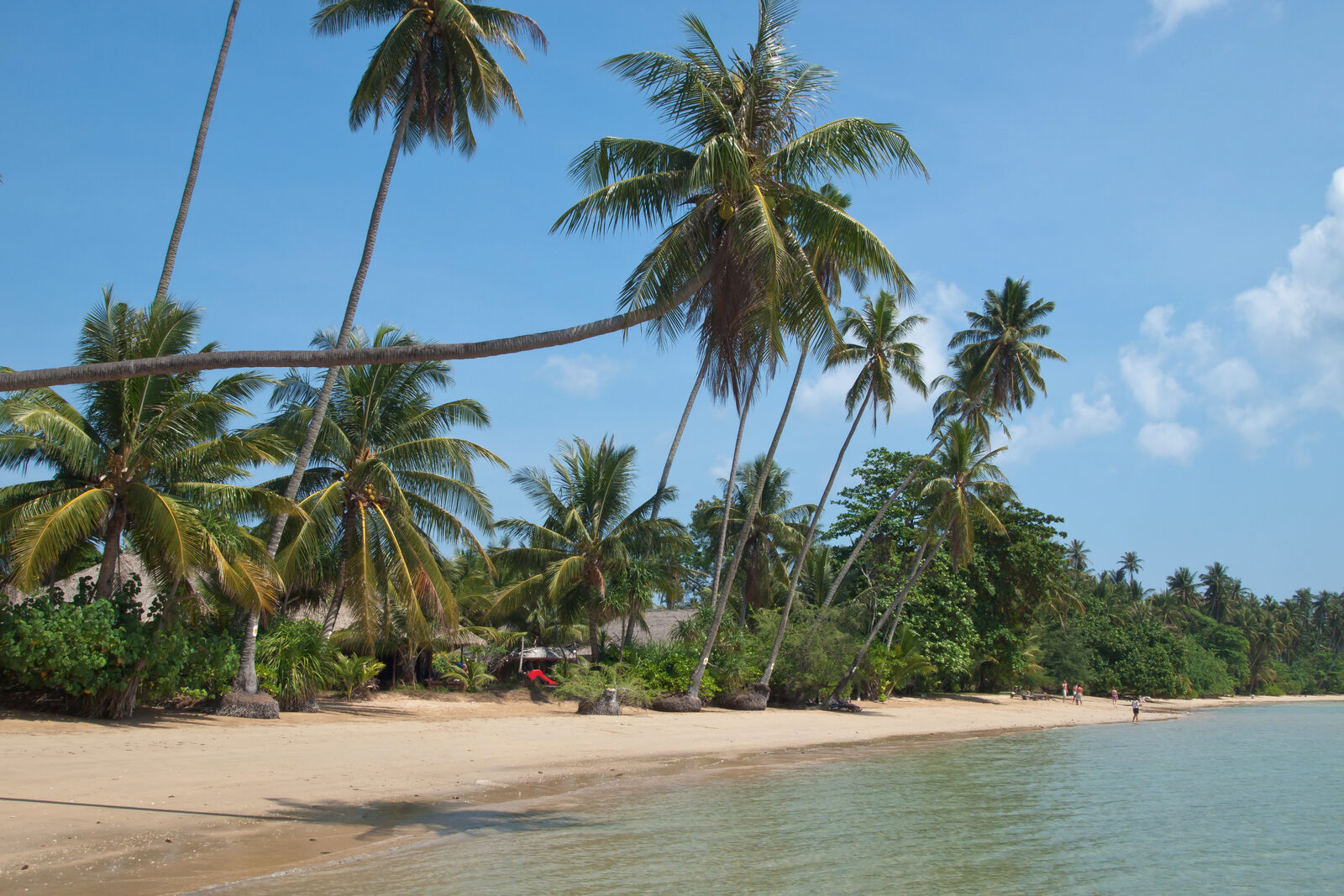 Coconut palms leaning over the white sand beach on Koh Mak in the Trat islands, an easy stop on an eastern seaboard Thailand itinerary