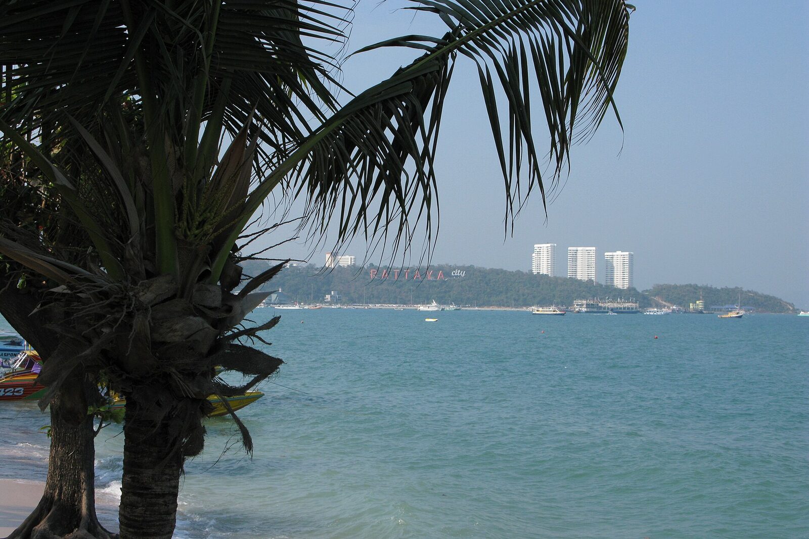 Pattaya Bay seen past a palm trunk from the sand, with speedboats moored offshore and the Pattaya City sign on the green headland, a cool-season scene for Thailand vacation planning