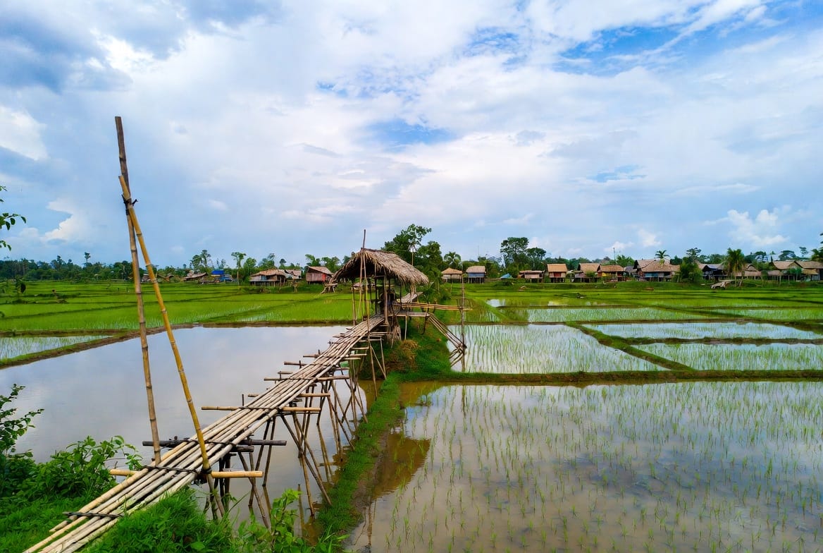 Su Tong Pae bamboo bridge crossing rice fields near Mae Hong Son