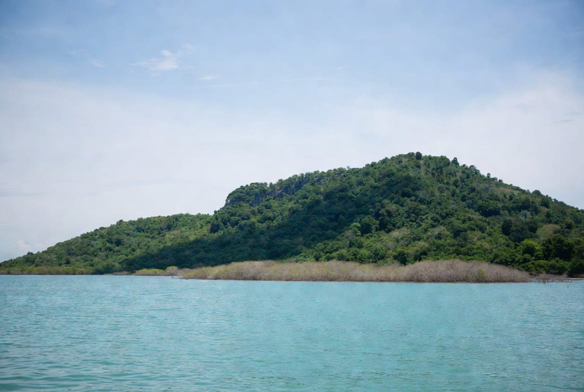 Green island coastline near Rayong with turquoise water, likely Koh Samet area