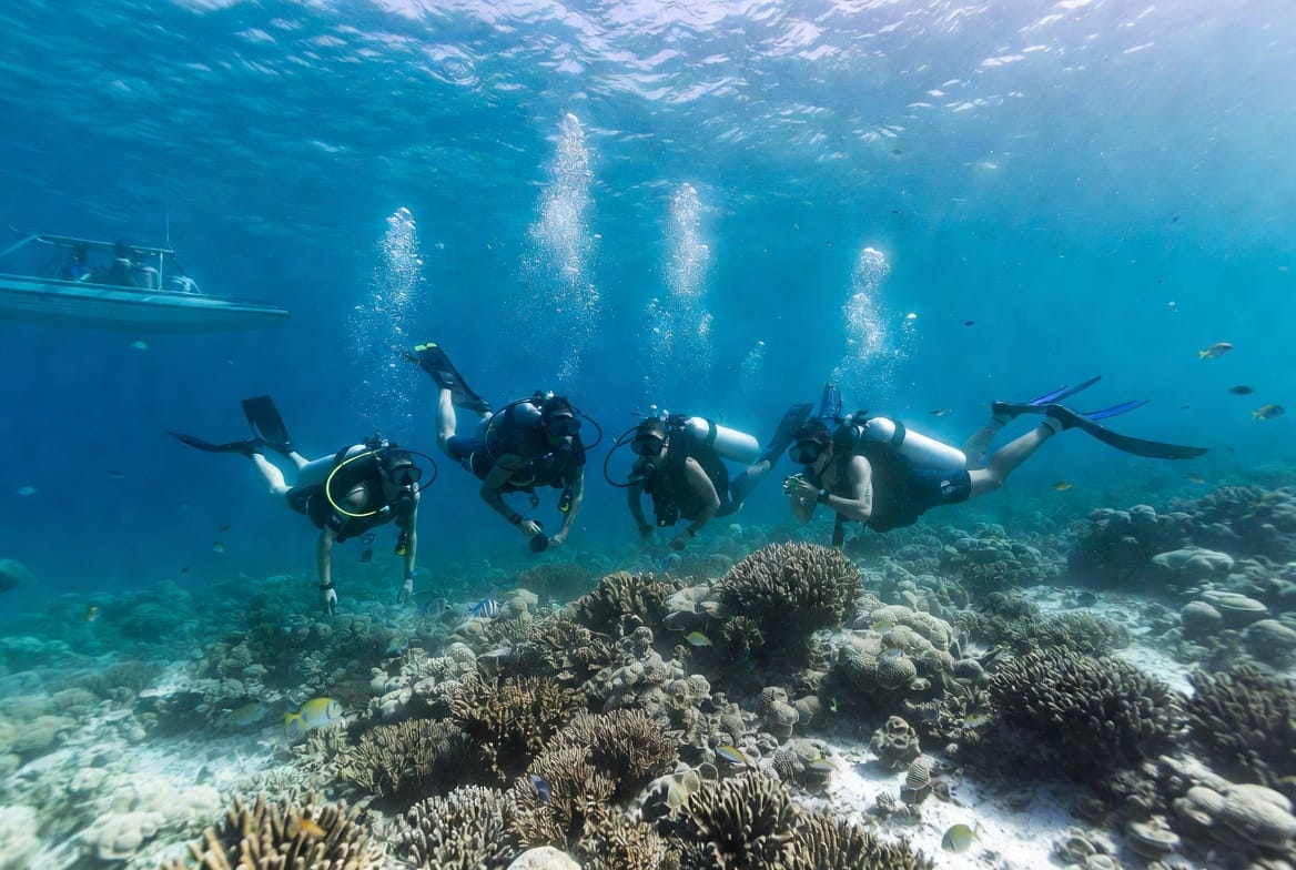 Scuba divers exploring coral reef near Koh Tao