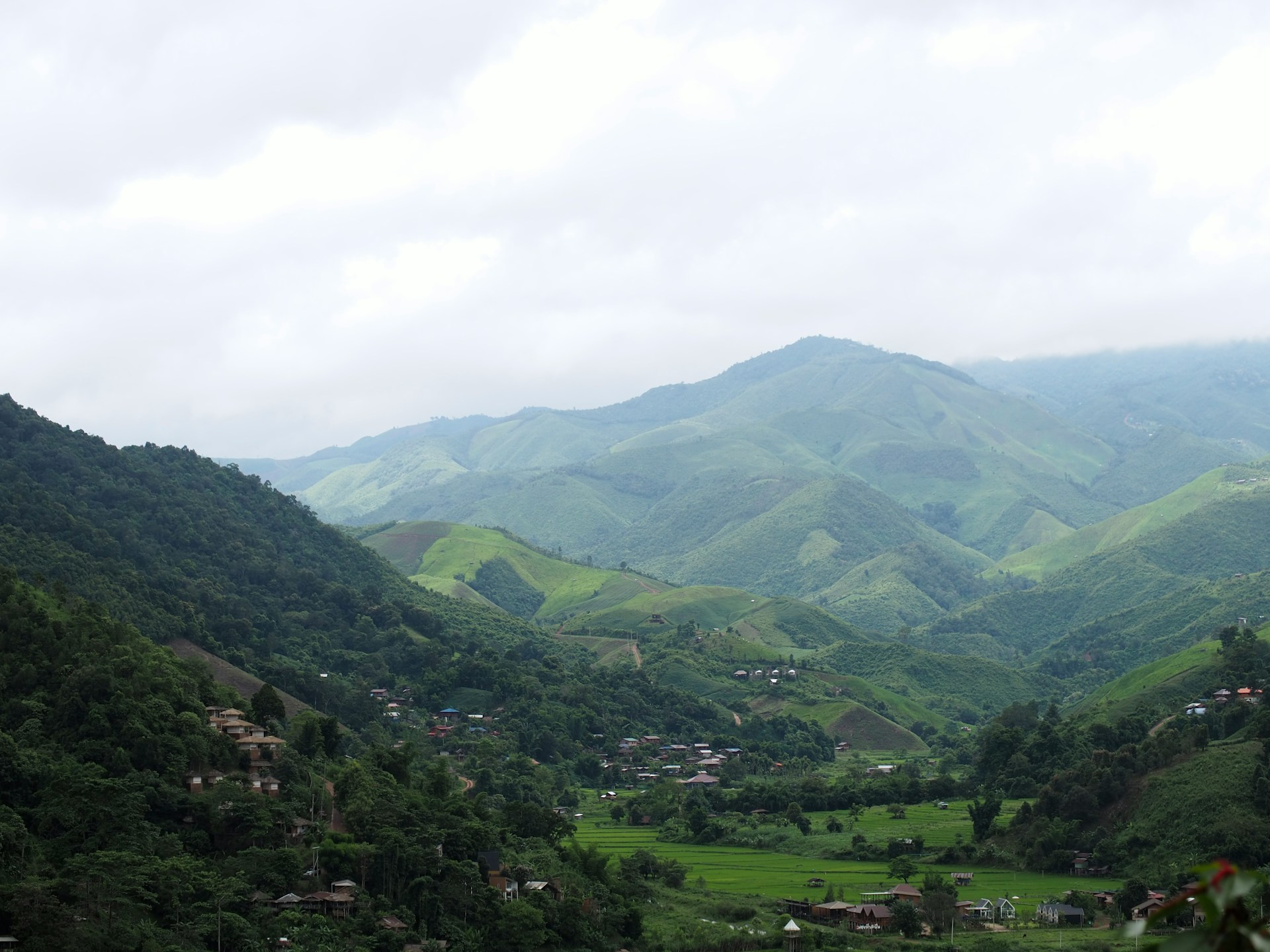 Mountain landscape and pink flowers in Doi Phu Kha National Park Nan