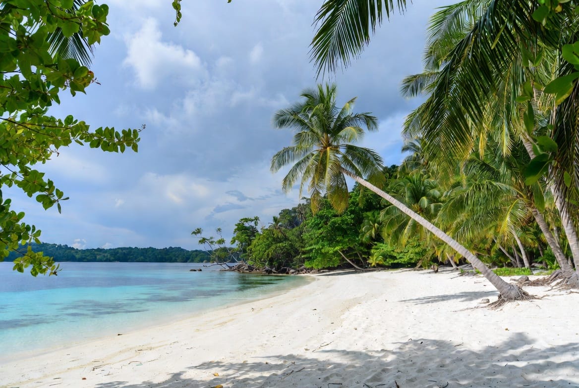 Pristine white sand beach on Koh Kradan with turquoise water and palm trees