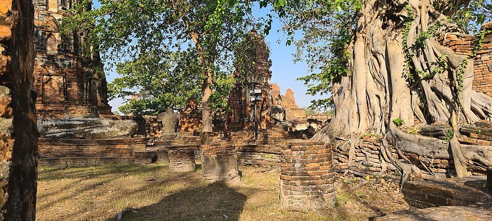 Brick temple ruins at Wat Mahathat in Ayutthaya, the setting for the World Wai Kru ceremony